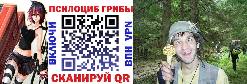 как найти закладки  Азнакаево  Галлюциногенные грибы прущие грибы 